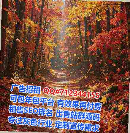 陆丰试管市政工程门市部